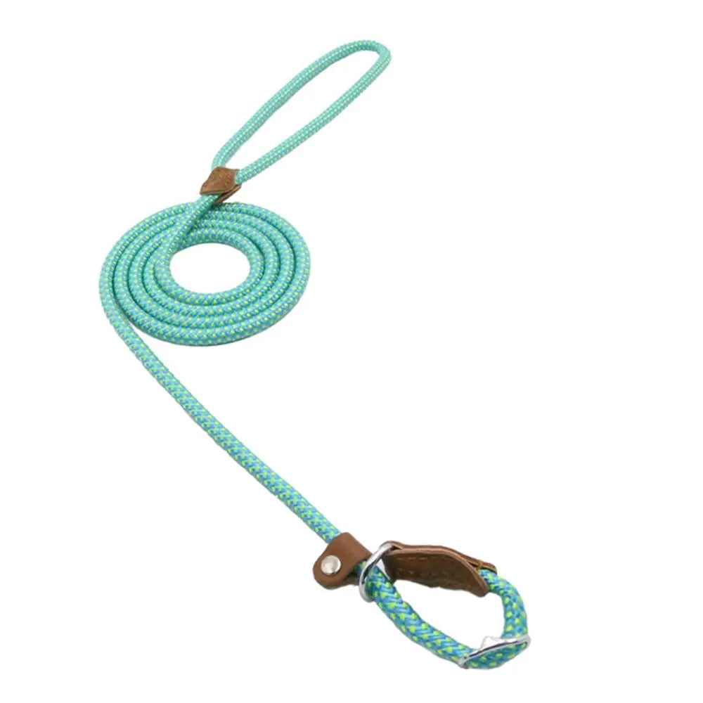 Nylon Pup Set-10