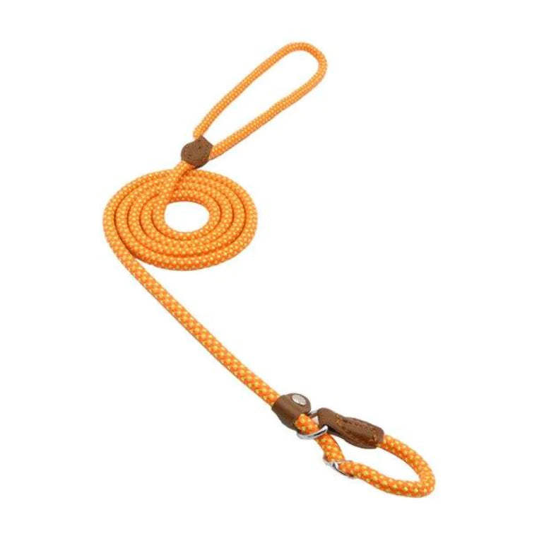 Nylon Pup Set-12