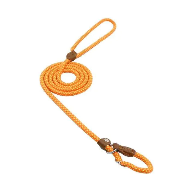 Nylon Pup Set-9