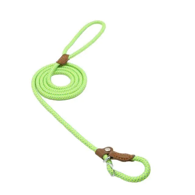 Nylon Pup Set-22