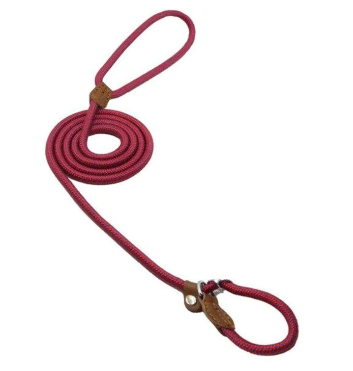 Nylon Pup Set-20