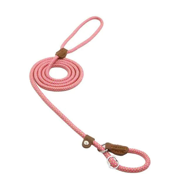 Nylon Pup Set-4